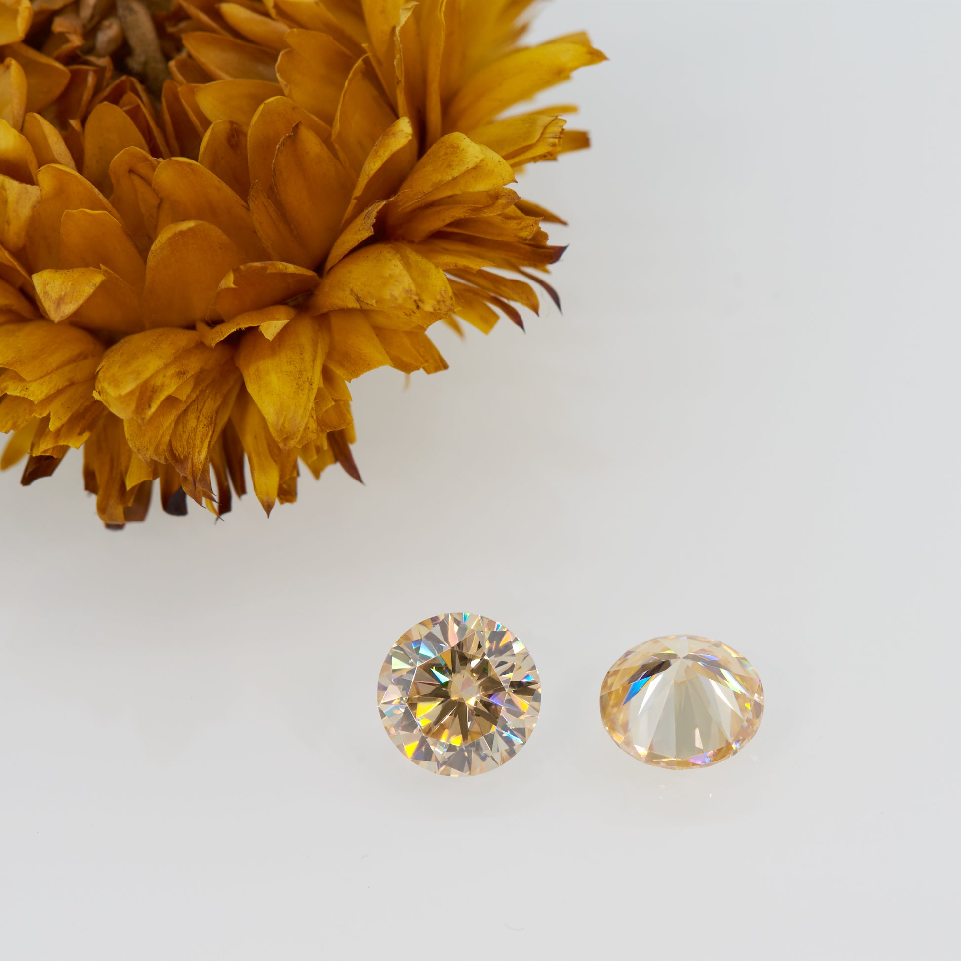 a pair of yellow round cut moissanite stones with a dried flower in background